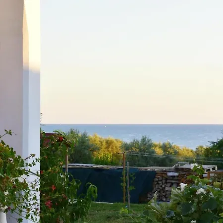 Luciana 1 By Interhome * Zambratija (Istria)